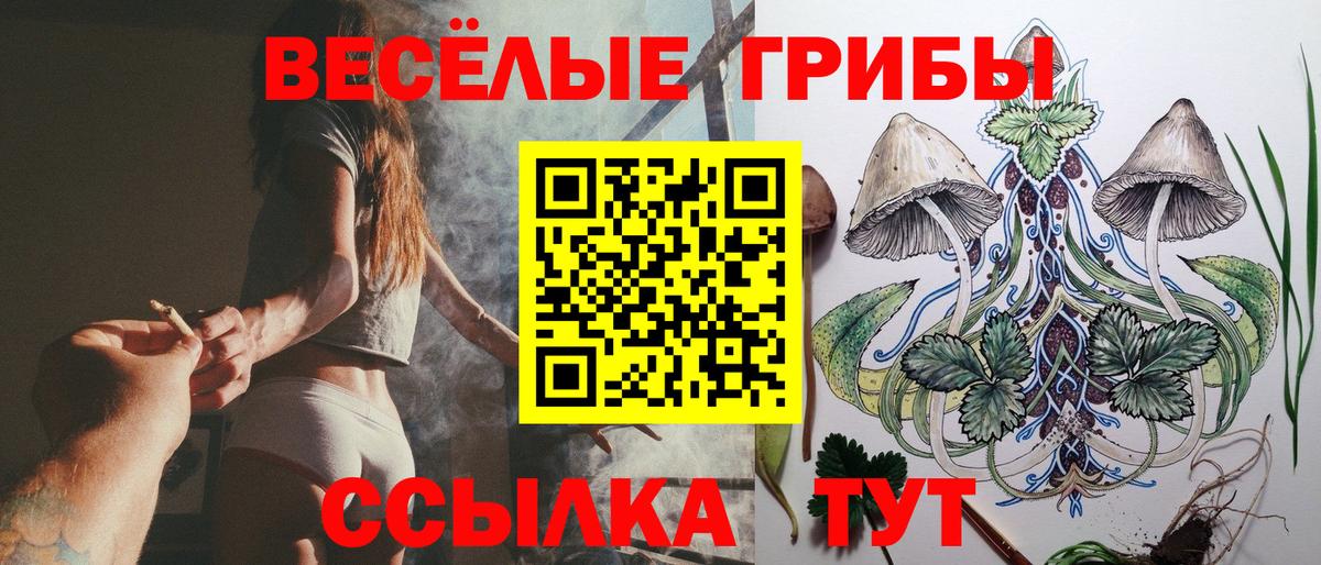 Галлюциногенные грибы мухоморы Санкт-Петербург